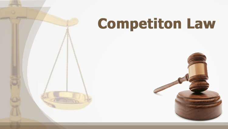 Introduction to Competition law: Indian perspective